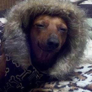 Meet your Posher, Debra